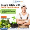 GACP Consultants Services in Florida